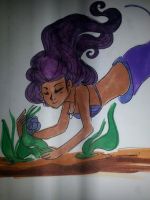 Purple Rose